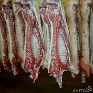 Мясо оптом  из Екатеринбурга в любой регион России