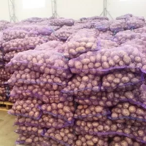 Продаем картофель по всей России оптом со склада.