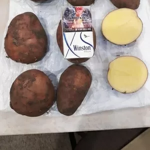 Картофель со склада от прямого поставщика.